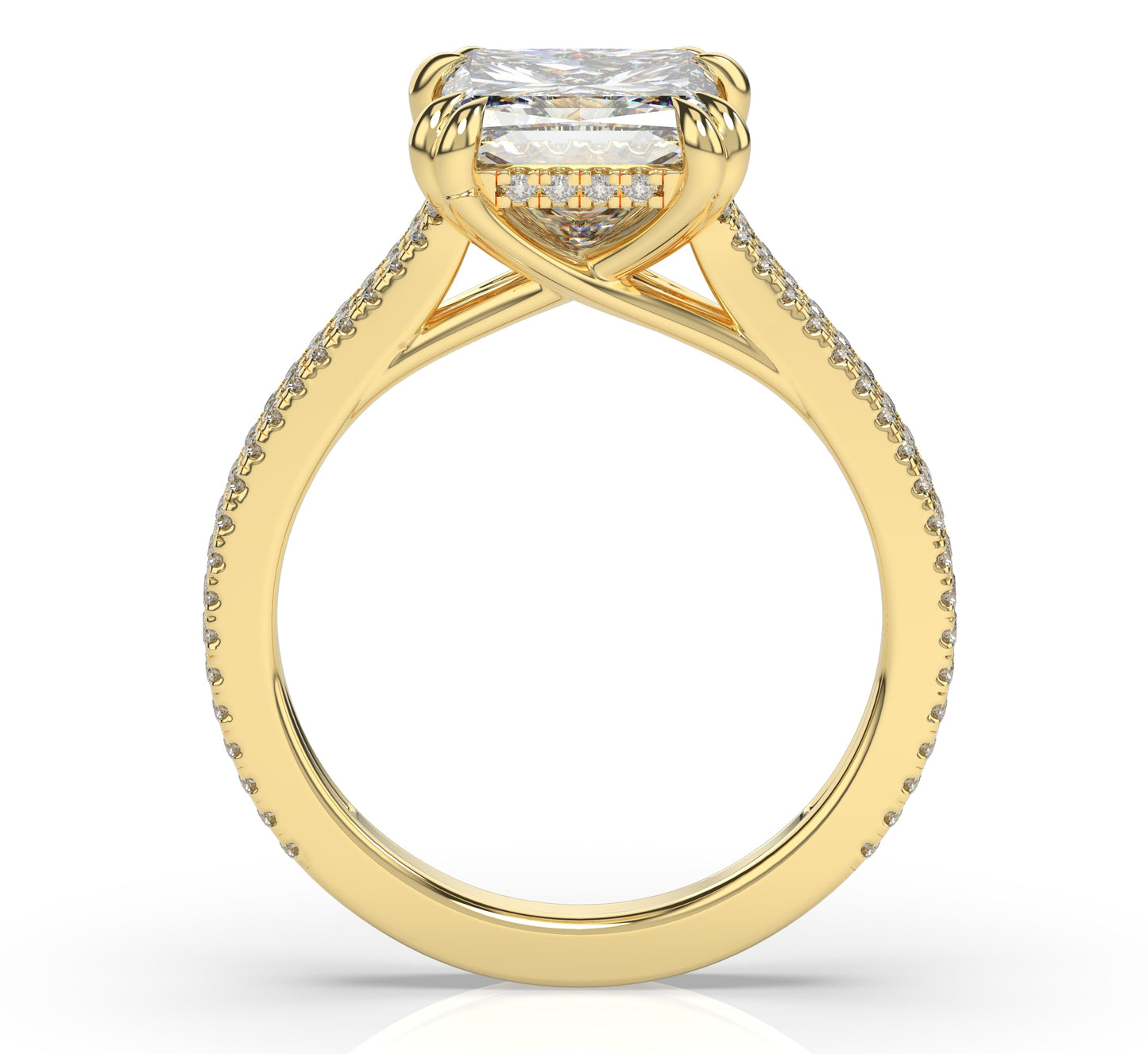 Princess Claw Double Pave With Hidden Halo Style Engagement Ring